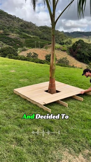Building a Self-Sufficient Homestead Lifestyle