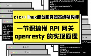 一节课搞懂 API 网关 openresty 的实现原理|nginx|负载均衡|网关|http|c/c++|linux服务器开发