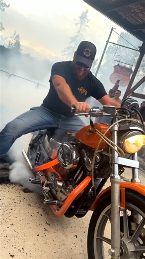 HARLEY PEOPLE GO WILD 🤘🔥 | Harley Davidson People