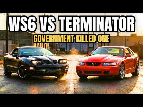 COBRA TERMINATOR vs TRANS AM WS6 — The Government KILLED One