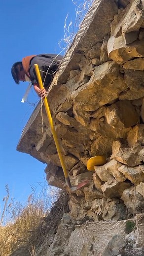 vecojoy (@vecojoy)’s videos with original sound - vecojoy