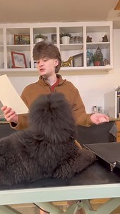 #unboxing #dogs #dogsbylogan #doggrooming #vlog #poodle | Dogs by Logan