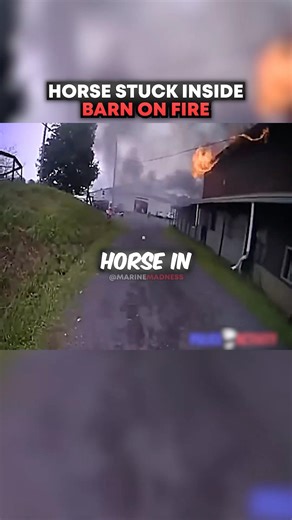 Horse STUCK Inside Barn On Fire 🫢