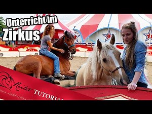2 Tage bei Debby Ray im Zirkus Paul Busch! Unterricht für eine Spende 🎪🐴 // Reitertutorials
