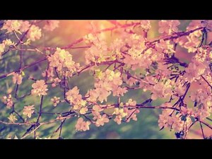 Música Relajante para el Alma con Flauta | Música Instrumental para Relajarse y Meditar | Relajación