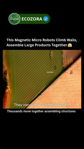 Thousands Of Micro Robots Build Products Together 🤖 #robotics #manufacturing #shorts