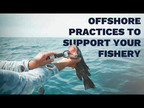 Releases Matter | Offshore Practices to Support Your Fishery