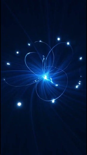 The Invisible Lines That Organize Space