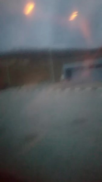 Trajce Kitanski (@trajce.kitanski)’s videos with original sound - Leptirko🦋