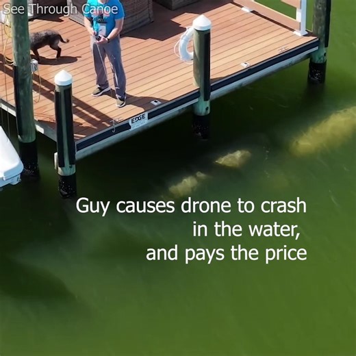 See Through Canoe (Since 2007) | While filming a manatee interacting with a dog at the end of a dock, this guy walked out with a fishing pole and casted on the drone,... | Instagram