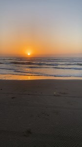48K views · 2.1K reactions | About 100 hatchlings were released last Thursday at sunrise by Sea Turtle, Inc.  These adorable little sea turtles have to make the journey to the water themselves in order to “imprint” here. This means these same turtles will return and nest on our beaches again some day!  Scientists aren’t exactly sure how they can sense where they were born, but they think it has to do with the earths magnetic fields. 鱗 #SoPadre | Visit South Padre Island | Facebook