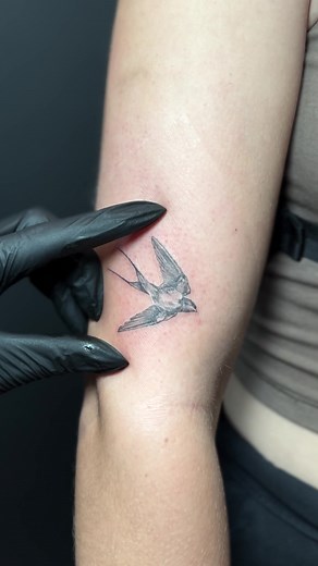 Tiny Swallow Tattoo Inspiration