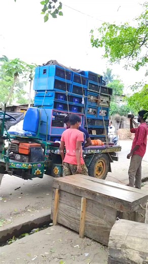 31K views · 544 reactions | Maa Kali Janka Se Total Amplifier Setup Reviews | Debashis & Friends | Facebook