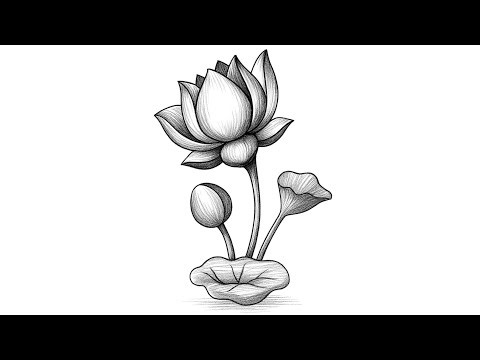 How to Draw Flower Step by Step || Easy Flower Drawing Colour || Simple Flower Drawing for Beginners