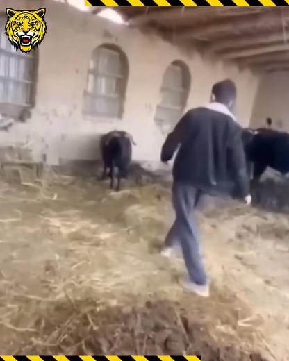 128K views · 135 reactions | Most Unbelievable Moment on Caught CCTV Camera | GiaNina | Facebook