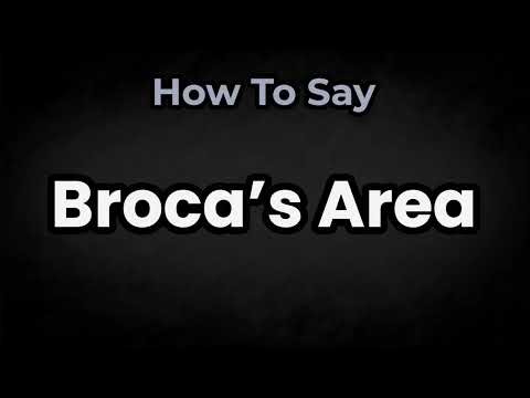 How To Pronounce Broca’s Area? (CORRECTLY) Meaning & Pronunciation