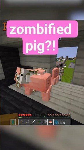 Our cute pigs turned into THIS! #minecraft #moddedminecraft #skyfactory5 #minecraftpig #minecraftmod