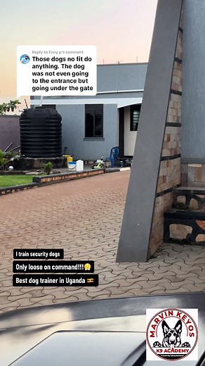 Best Dog Trainer in Uganda: Transform Your Canine Skills