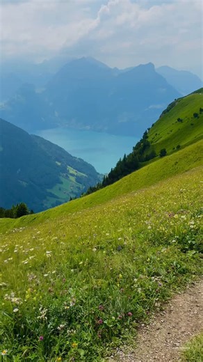 Swiss | Tour | Travel 🇨🇭 on Instagram: "360° views that look insanely breathtaking — welcome to Switzerland’s sky-high magic. 👏🏻🇨🇭The beautiful Stoos, SZ — a mountaintop village with no cars, no crowds, just pure alpine bliss! Reach it via the world’s steepest funicular, and step into a panorama that honestly looks too good to be real 👏🏻 Good News is you can explore this amazing spot with @creativetour_ - Private Tours now booking for October to December! 🤝🏻 💬Send us a message to book