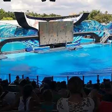 One Ocean | Sea World Orlando | Shamu Show | Orlando Florida