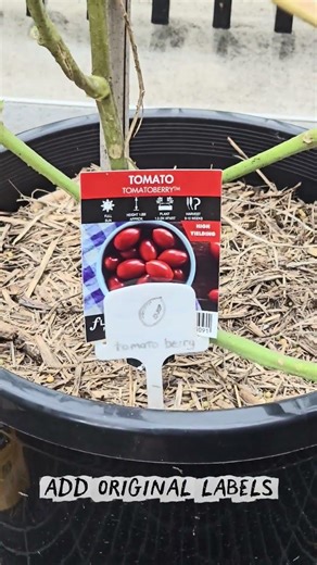 drawing your own plant labels