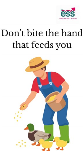 English Skill Studio on Instagram: "🤝 Respect people who help you! Today’s #ProverbOfTheDay: “Don’t bite the hand that feeds you.” Meaning: Never hurt the people who support or care for you. Example: Meera valued the teacher who guided her. ➡️ Tag someone you appreciate! 💬"