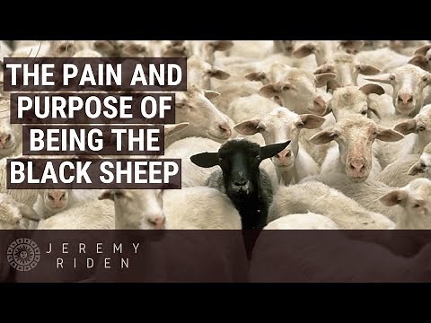 The Pain and Purpose Of Being "The Black Sheep"