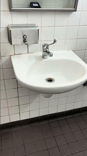 [646] North Wollongong Station: Disabled: Older Caroma Leda Care on a LLC Caroma cistern