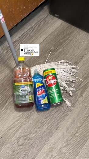 Effective Mopping Techniques for a Cleaner Home