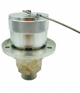 [Hot Item] Djk-25A1t Cryogenic LNG Ln2 Inlet Port Made in S30408 25mm 40bar