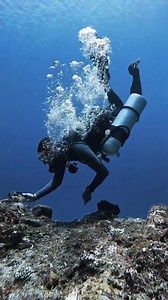 Diving in Komodo 🎥: @rijal_komodo_sea | Diving Specials