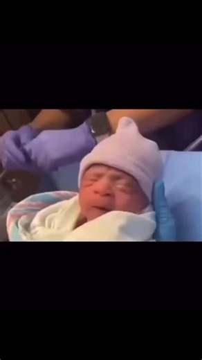 that explains a lot | Whales