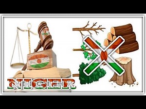 #NIGER:🇳🇪🇳🇪:Le Niger..!..?