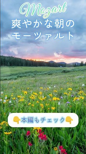深呼吸したくなる朝のモーツァルト #クラシック #モーツァルト