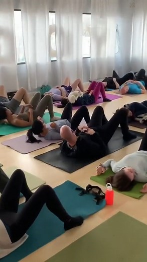 If I fits, I sits | Puppy yoga