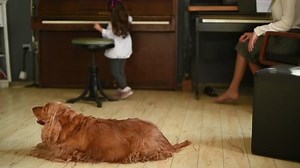 clip-31826566-mother-daughter-playing-piano-while-their-dog