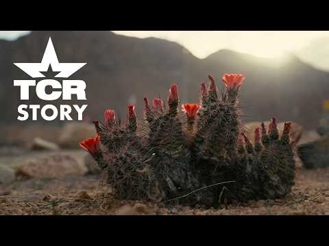 A Love Letter to the Toughest Place in Texas