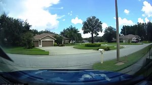 Lightning strikes palm tree despite clear blue sky above, incredible phenomenon gets caught on camera [WATCH]