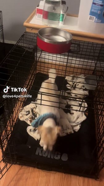 Blue Mohawk Style: Embrace Your Edge!