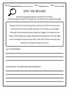 Cardiovascular Activity Packet Worksheets | Anatomy & Physiology | + Answer Key