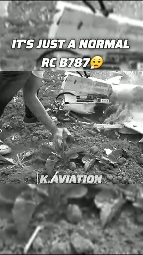 Realistic RC Scale Boeing 787 Crash During Median Flight💔 #aviation