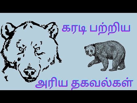 கரடி பற்றி இதெல்லாம் தெரியுமா /Facts about bear in Tamil/Arivom Vidai
