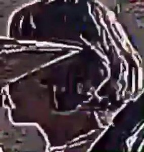 27K views · 1.4K reactions | Little Dragon on Reels | Facebook