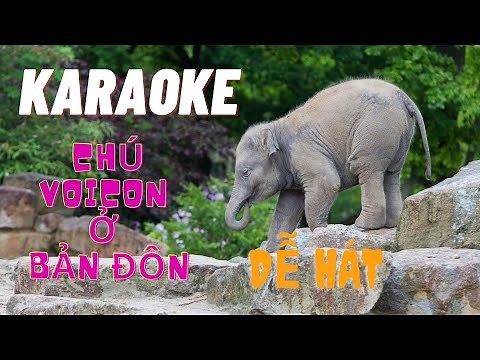 CHÚ VOI CON Ở BẢN ĐÔN [KARAOKE] DỄ HÁT