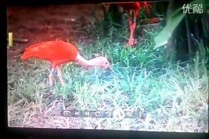 i2正式版图片功能内测简单演示