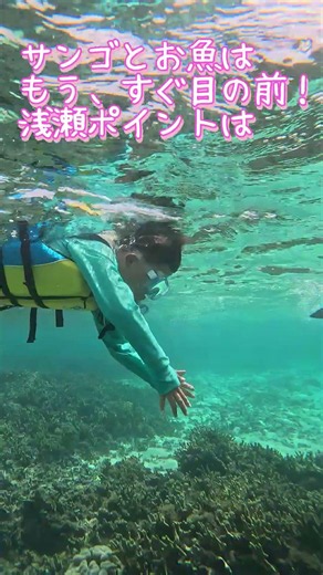 [Ishigaki Island] I'm hooked on the ocean! First-time snorkeling! June 14th tour video