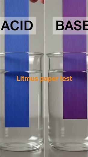 acid and base test using litmus paper #school #science #chemistrychamps #chemistrypage #chemistry