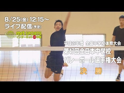 全国中学校体育大会 バレーボール 決勝