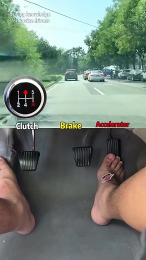 #live #teamwork #livestream | team work