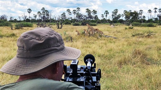 Filming Africa's Three Big Cats | Nature